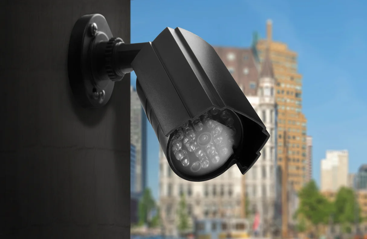 ყალბი კამერა Alecto DC-KIT Dummy Camera set Black/White